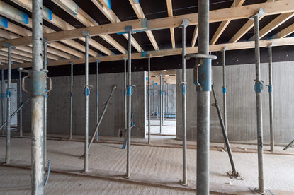 Pruimendijk 20250328 -4