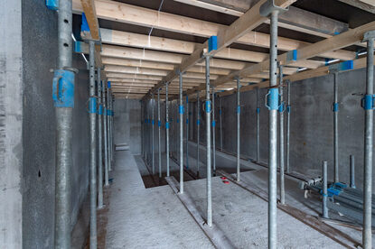 Pruimendijk 20250328 -5