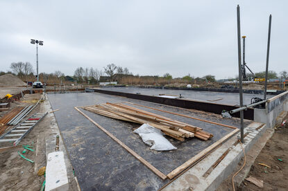 Pruimendijk 20250328 -9