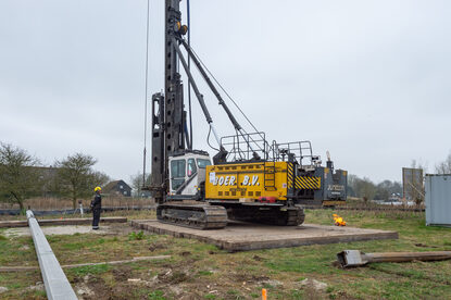 Pruimendijk 20250328 -15