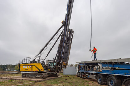 Pruimendijk 20250328 -27