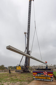 Pruimendijk 20250328 -28