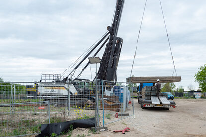 Pruimendijk 20250416 -3