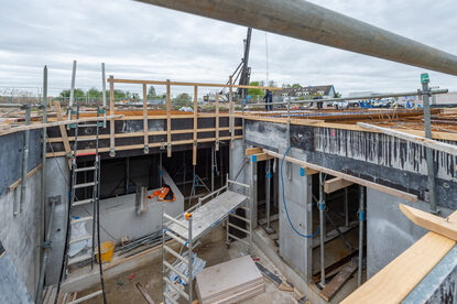 Pruimendijk 20250416 -7