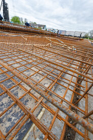 Pruimendijk 20250416 -8