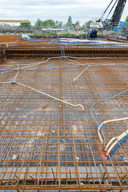 Pruimendijk 20250416 -9