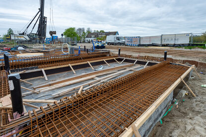 Pruimendijk 20250416 -10