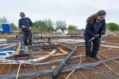 Pruimendijk 20250416 -13