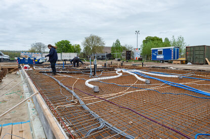 Pruimendijk 20250416 -14