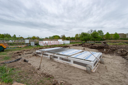 Pruimendijk 20250416 -19