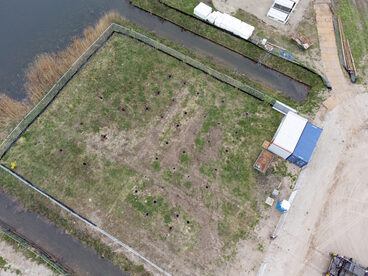 Pruimendijk 20250416 -27