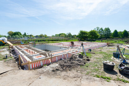 Pruimendijk 20250428 -4