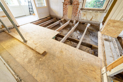 Tiel, Lingedijk 20250424 -29