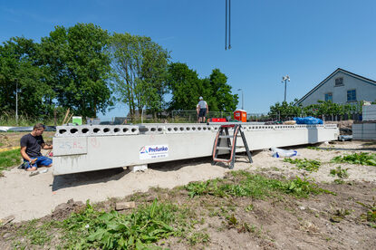 Pruimendijk 25050612 -17