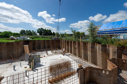 Pruimendijk 20250703 -3