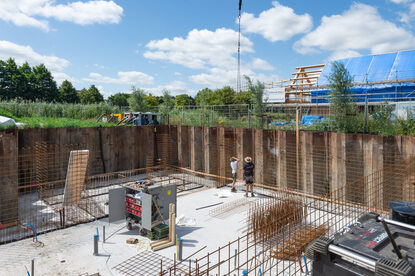 Pruimendijk 20250703 -4