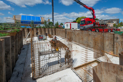 Pruimendijk 20250703 -7