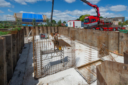 Pruimendijk 20250703 -8