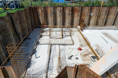 Pruimendijk 20250703 -11