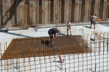 Pruimendijk 20250703 -12