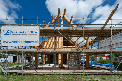 Pruimendijk 20250703 -16