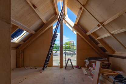 Pruimendijk 20250703 -20