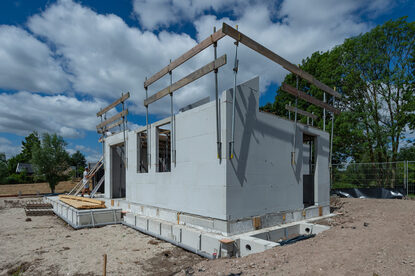 Pruimendijk 20250703 -35