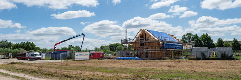 Pruimendijk 20250703 -39