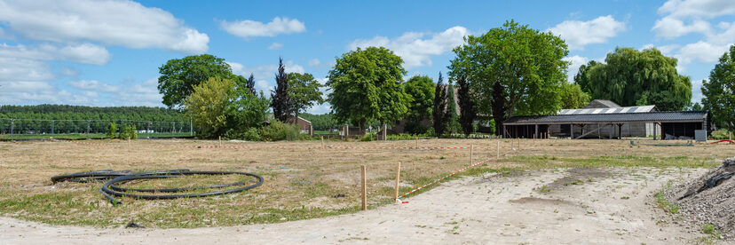 Pruimendijk 20250703 -42