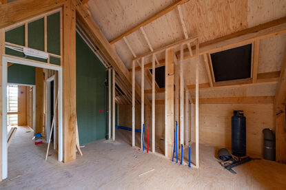 Pruimendijk 20250727 -4