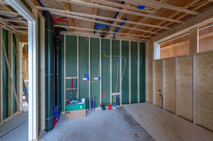 Pruimendijk 20250727 -10