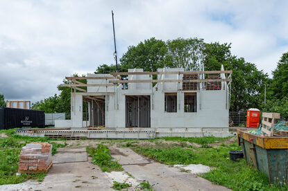 Pruimendijk 20250727 -14