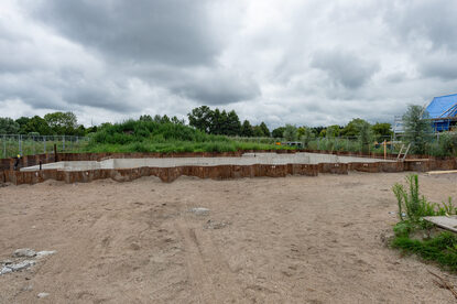 Pruimendijk 20250727 -18