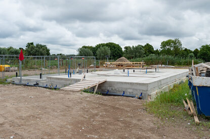 Pruimendijk 20250727 -20